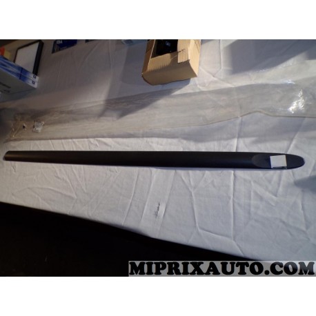 Baguette moulure de porte Opel Chevrolet original OEM 24411237 5171549 