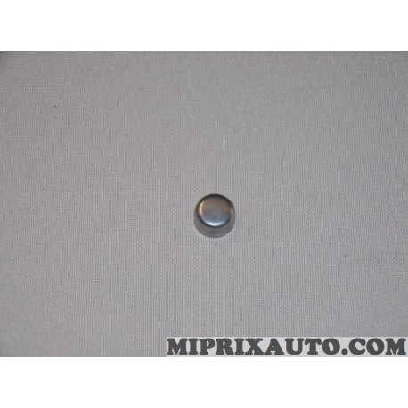 Pastille de sablage Renault Dacia original OEM 8200739554 