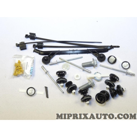 Kit agrafes attache porte portiere Volkswagen Audi Skoda Seat original OEM 6R0898619B