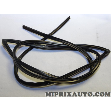 Joint de parebrise Opel Chevrolet original OEM 95967121 