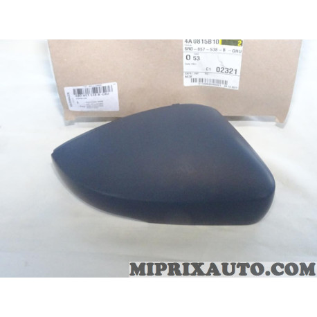 Coque calotte de retroviseur Volkswagen Audi Skoda Seat original OEM 6R0857538BGRU 